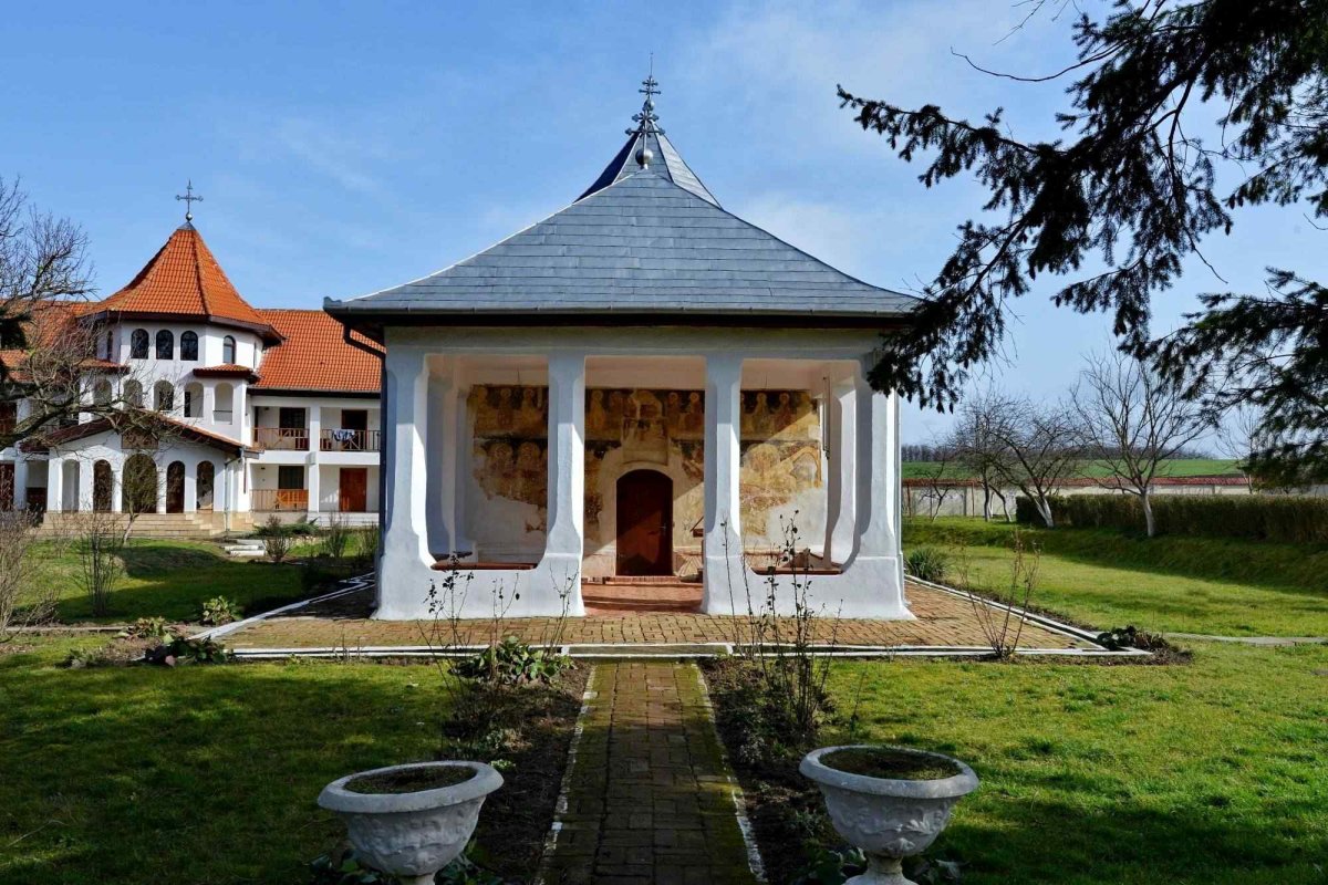 Sclipirile Luminii 288039