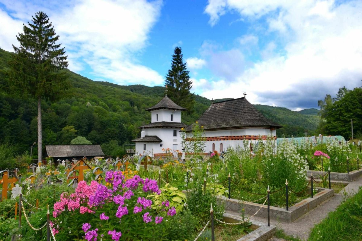 Sclipirile Luminii 288040