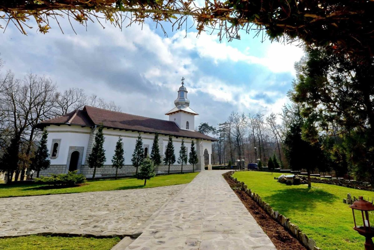 Sclipirile Luminii 288041