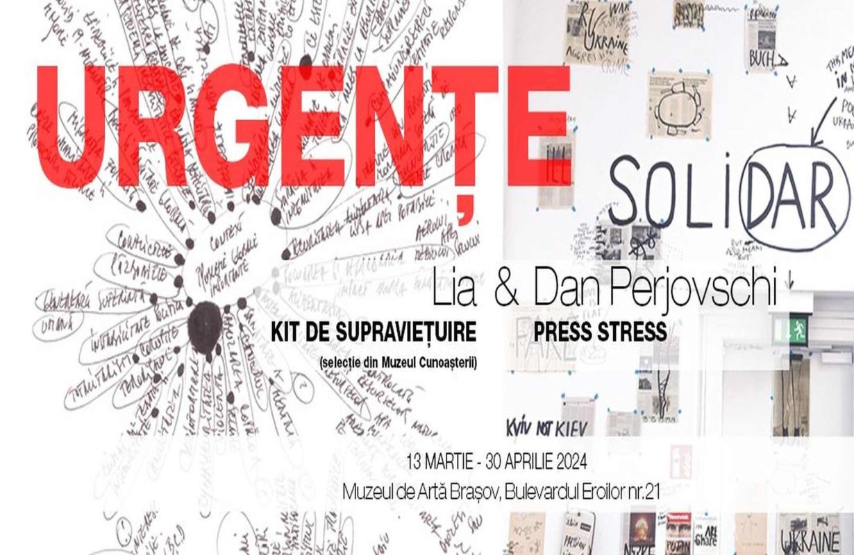 Lia și Dan Perjovschi expun la Muzeul de Artă Brașov 288456