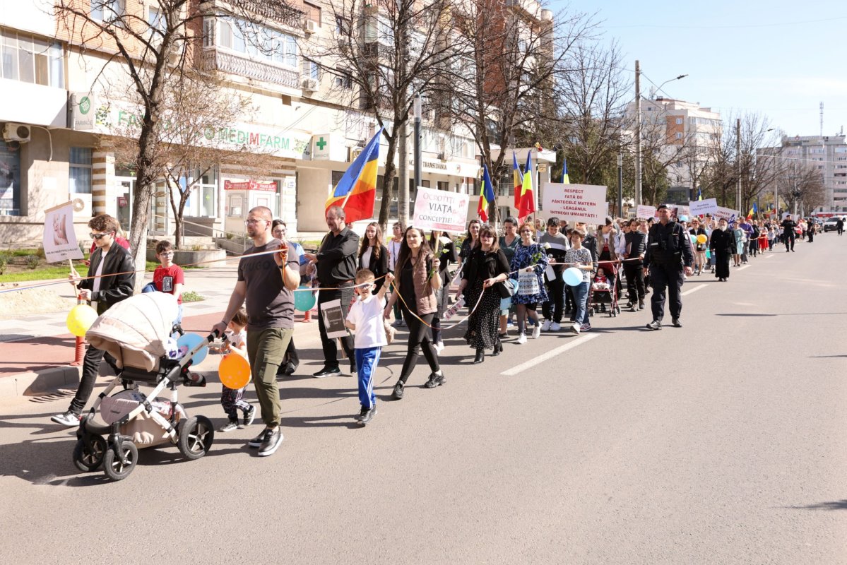 Mărturie continuă pentru protejarea vieții 290466