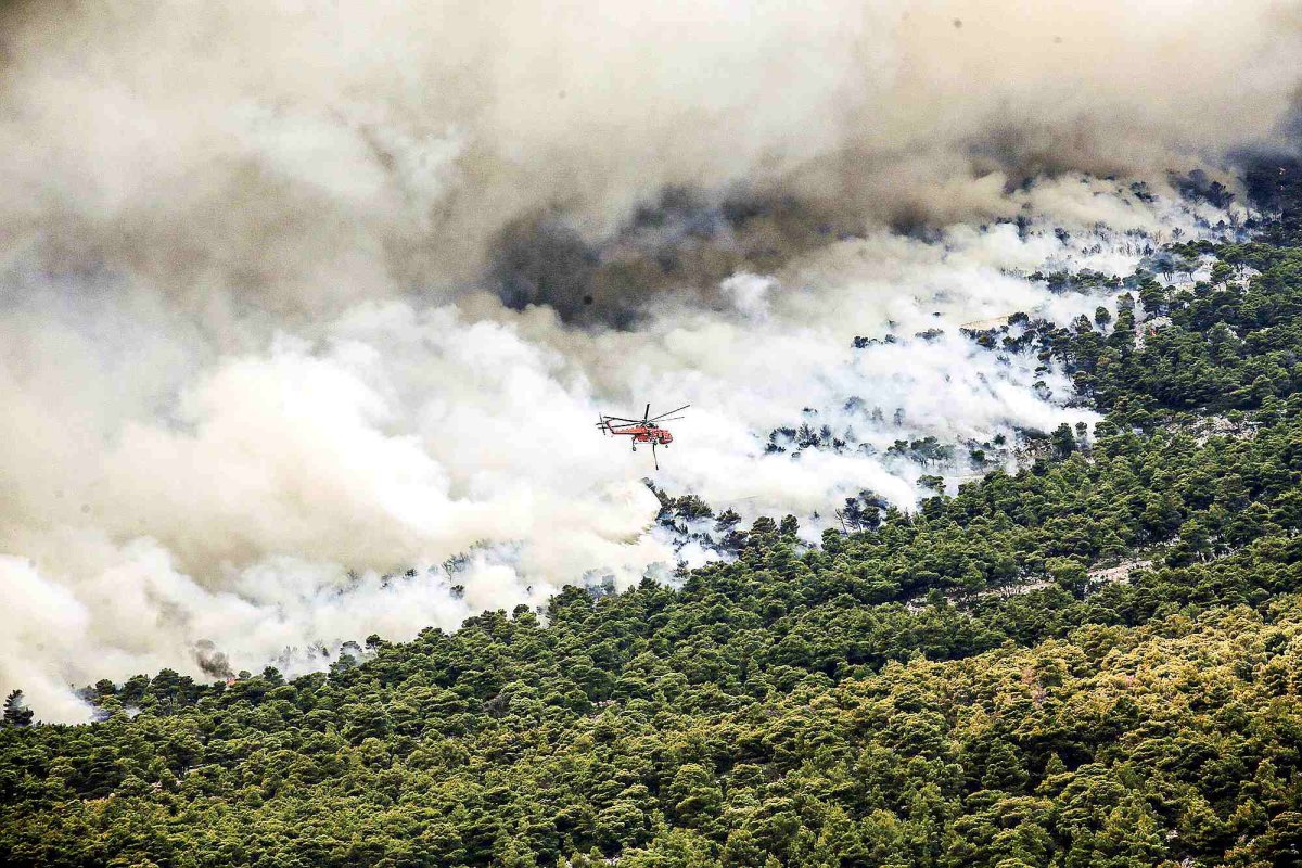 Strategie UE de adaptare la criza climatică 290572