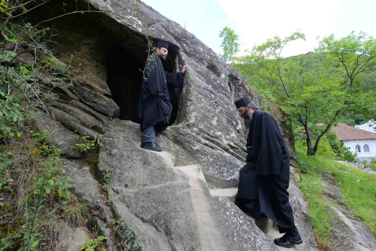 Dorința de desăvârșire 290886