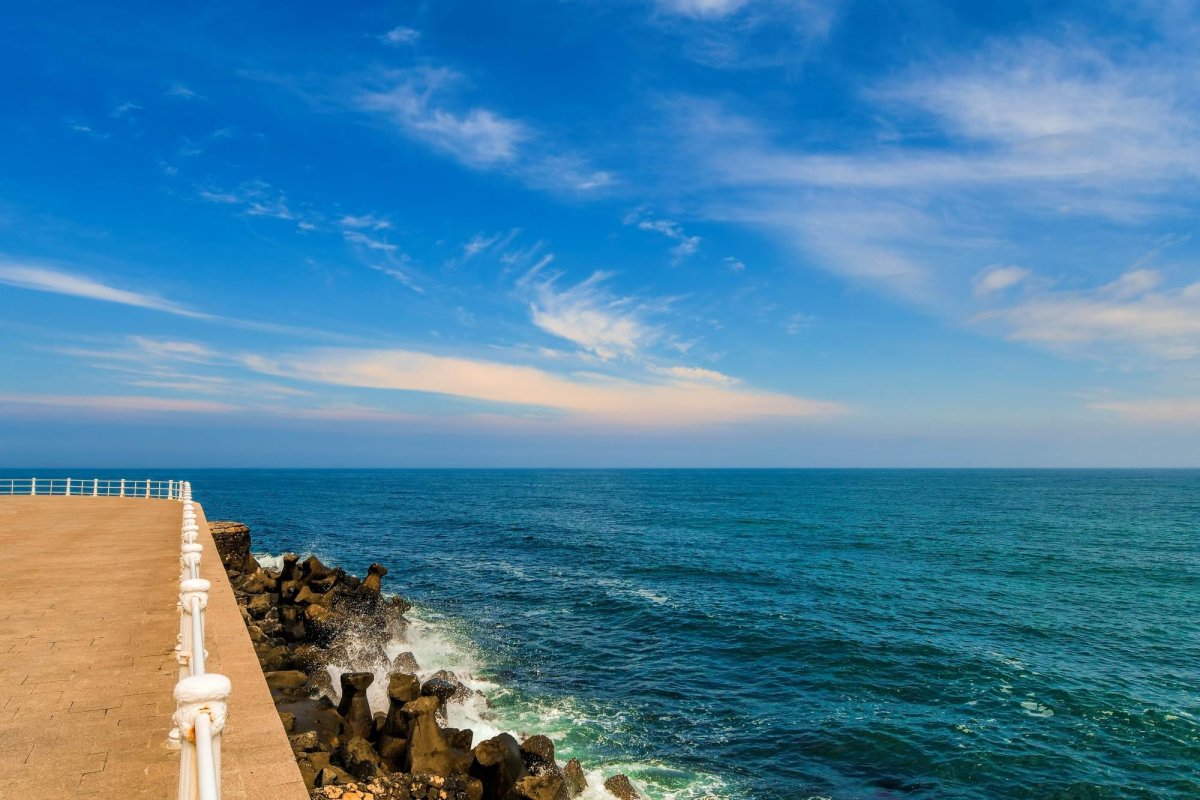 Dacii în recuzita ideologică 291070