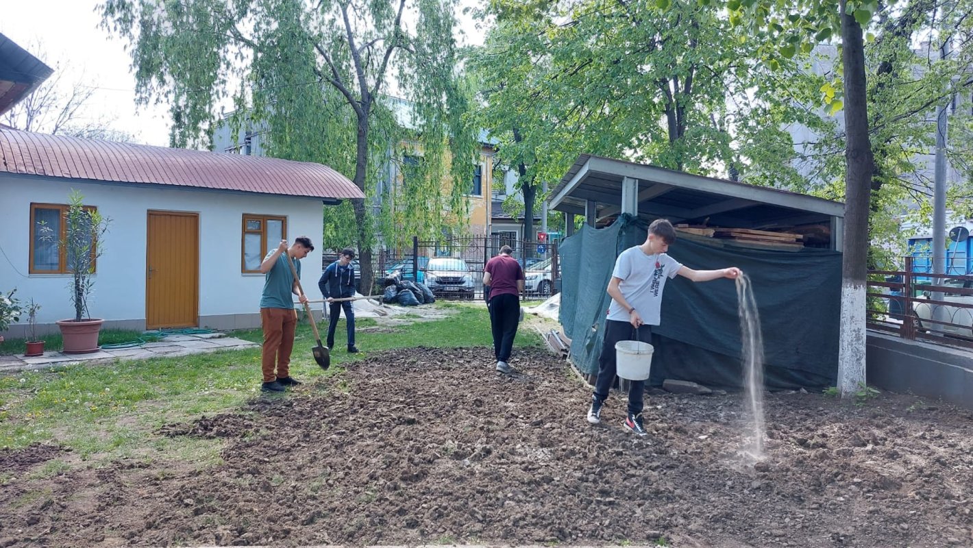 Elevii seminarului bucureștean implicați în activități ecologice 291215