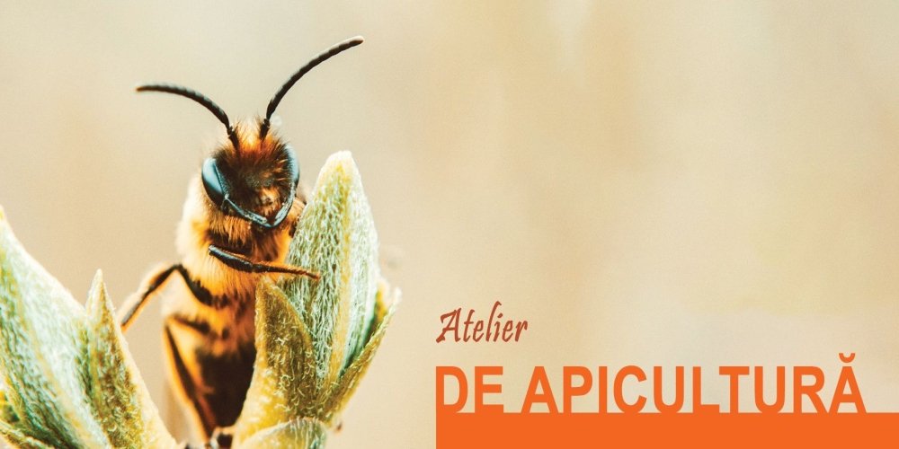 Atelier de apicultură la Muzeul Satului 291233
