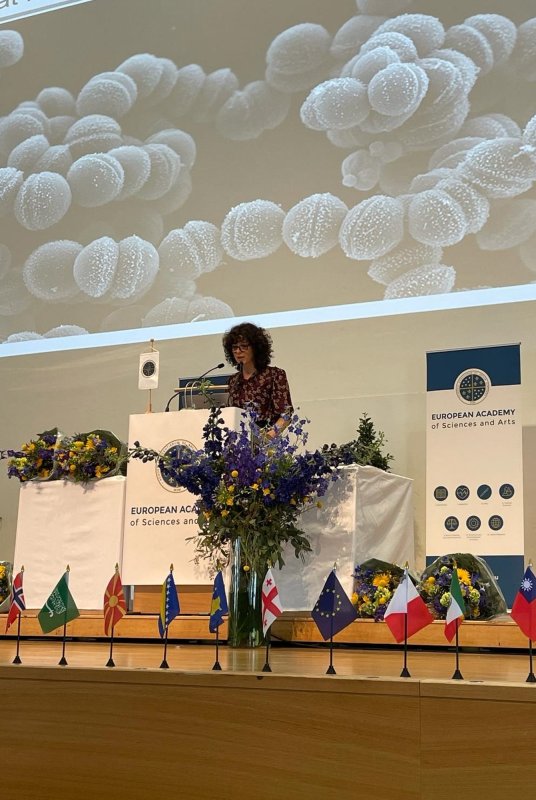 Întrunirea anuală a Academiei Europene de Științe și Arte din Salzburg 291254