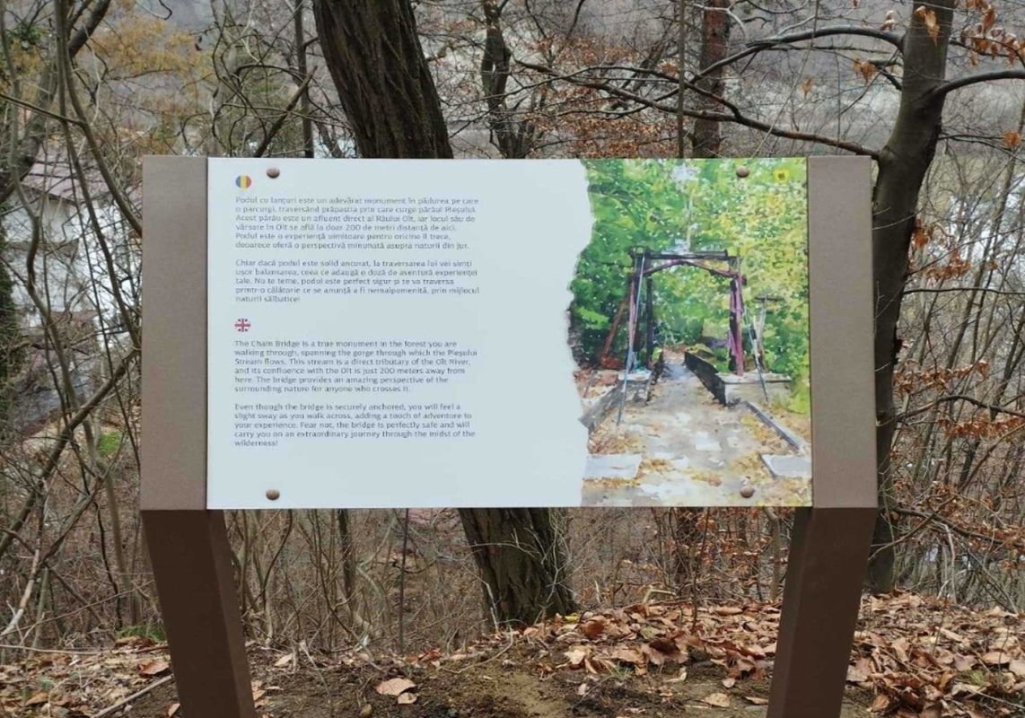 Traseu educativ forestier la Călimănești 291240