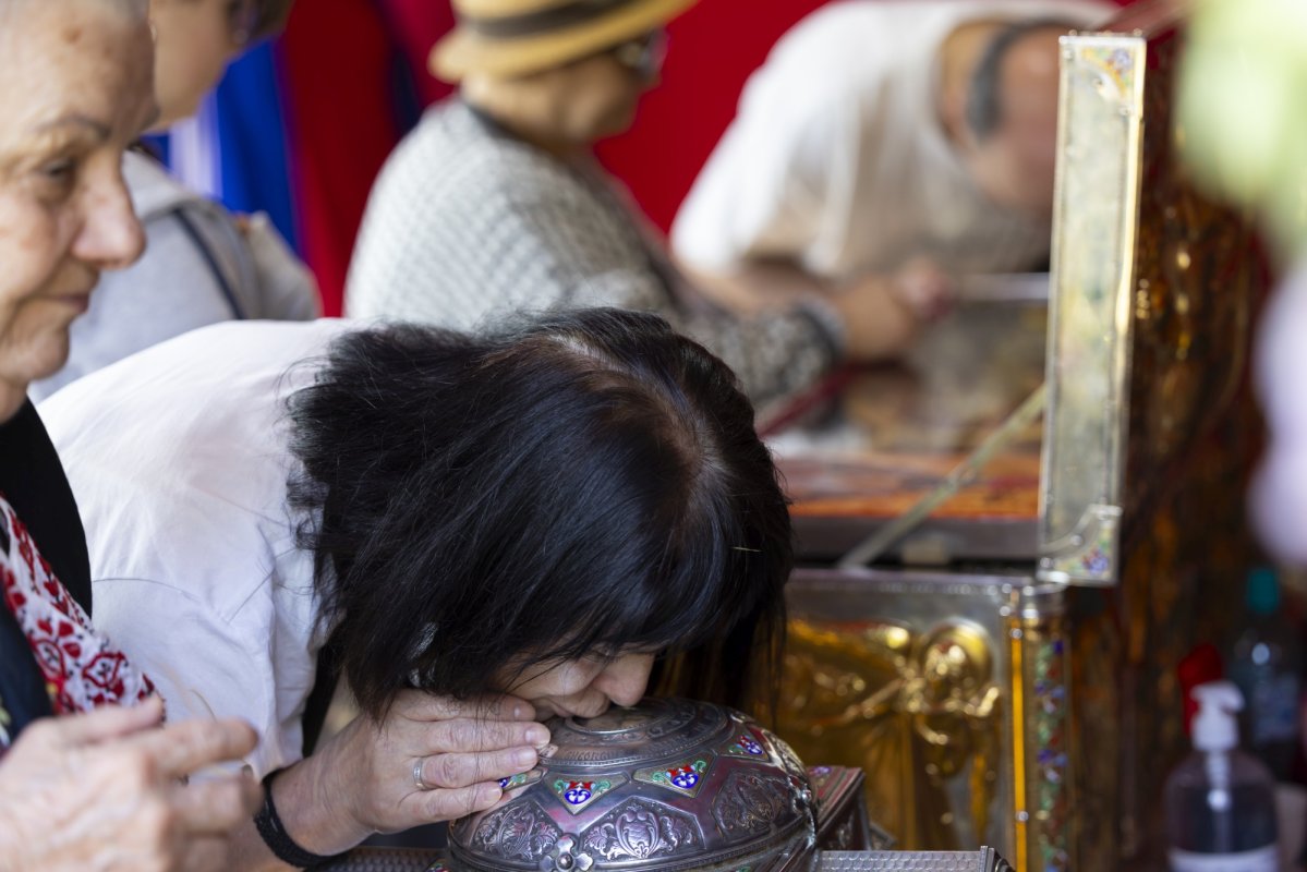 Sărbătorirea Sfântului Calinic la Mănăstirea Cernica 291525