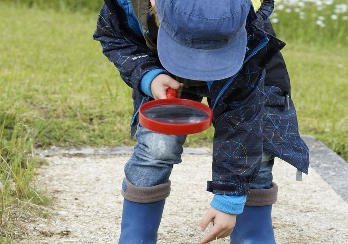 Şcolile pot obţine finanţări pentru activităţile din „Săptămâna verde” 291549