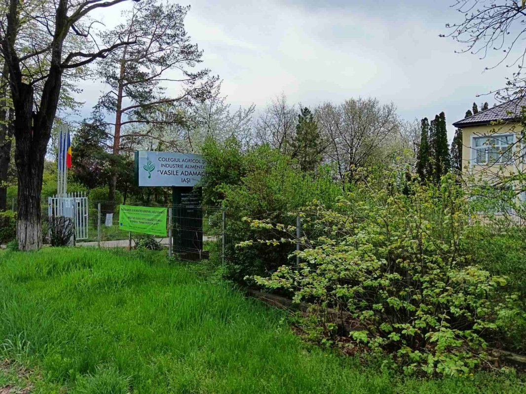 „Seminţele cu suflet”: călătoresc, rodesc și sunt dăruite mai departe 292173