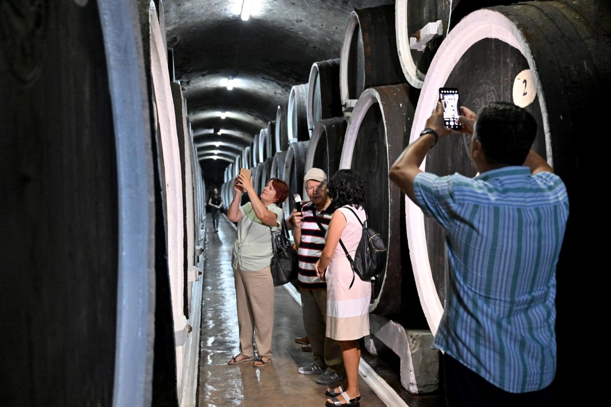 Viticultorii din Vrancea încep să mizeze  pe turismul oenologic 293349