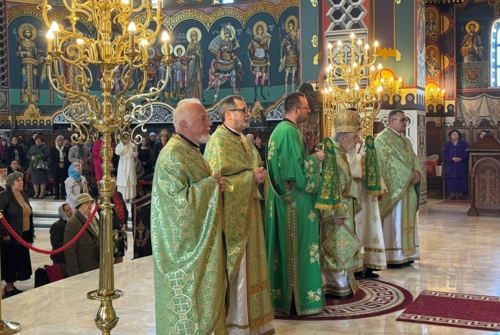 Ramuri de salcie pentru credincioșii din Arad 293785