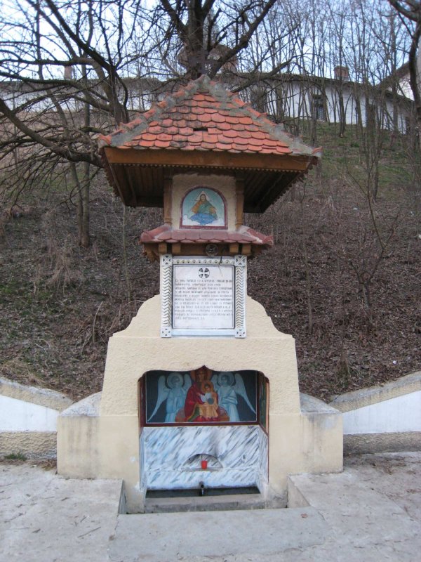 Sărbătoarea Izvorului Tămăduirii la ape binefăcătoare din țara noastră 294910