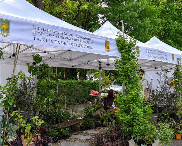 Zilele Horticulturii Bucureștene 2024 294924