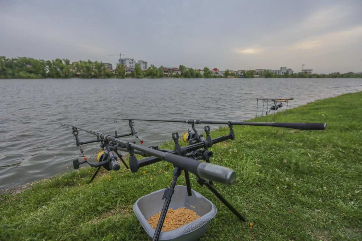 Un nou cadru legal pentru activitatea de pescuit 294960