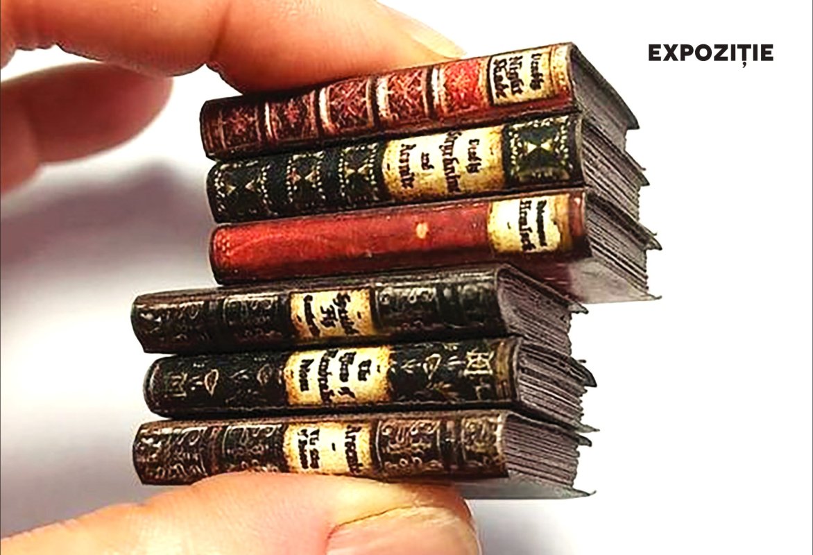 Biblioteca miniaturală  295320