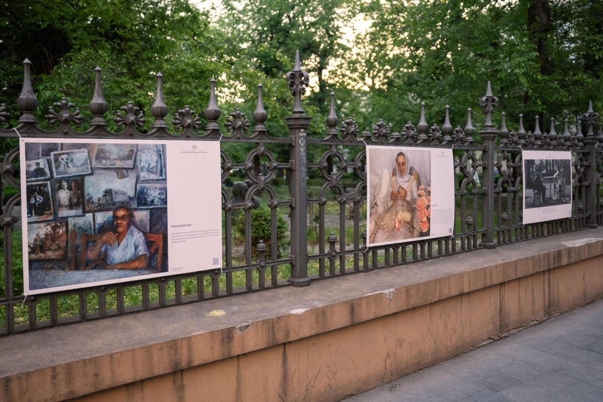 Jurnal de viață între generații 295446