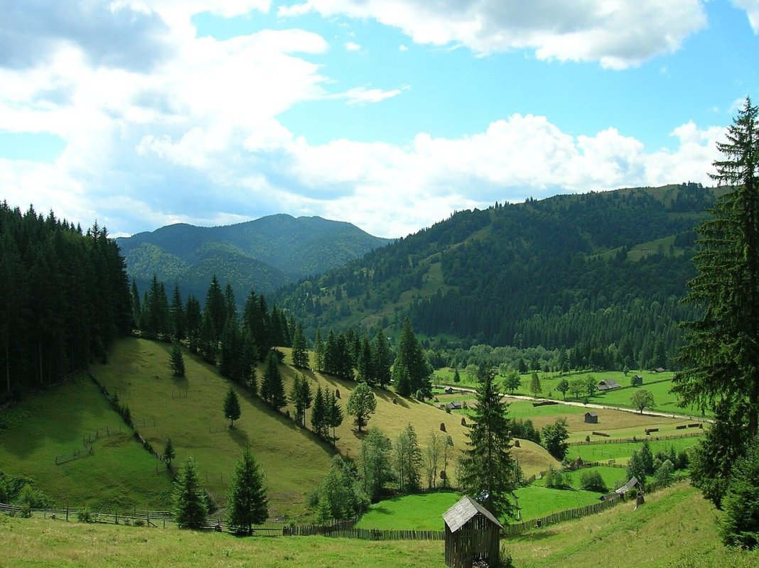 Crucea talienilor - între sihaștri și slove de roman, pe înălțimi de poveste 295639