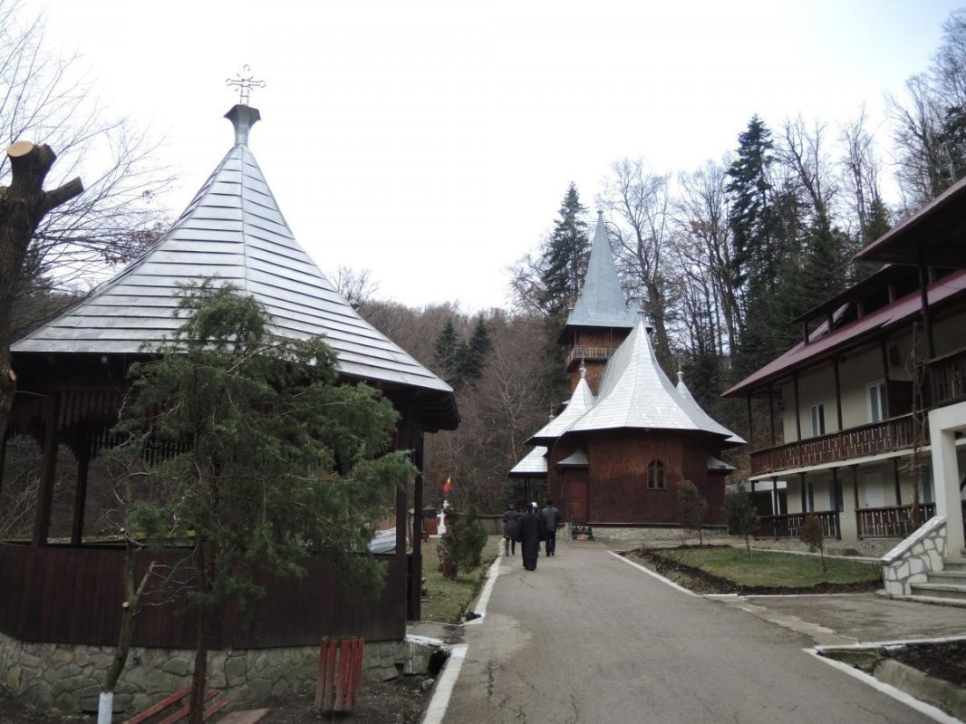 Mărturii ale luptei de pe Valea Culeșa-Nemțișor din anul 1944 296808