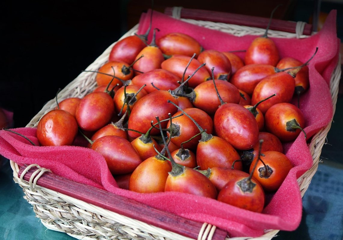 Preparate rapide cu fruct de tamarillo 297191