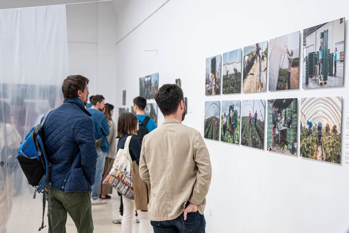 Viața românilor sezonieri în fotografii 297392