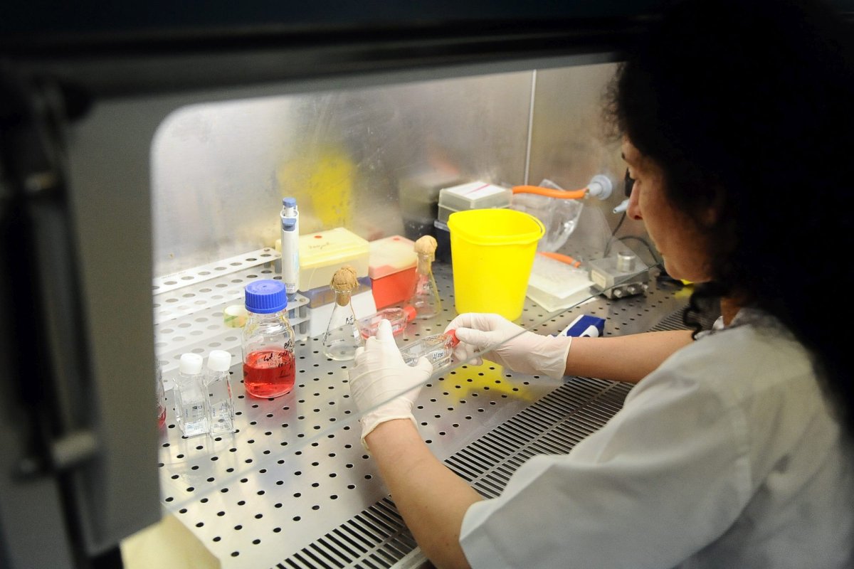 Analize la fructele și legumele din piață 298710