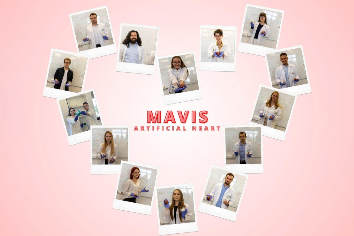 Inima Mavis va bate la un concurs în Japonia 298706