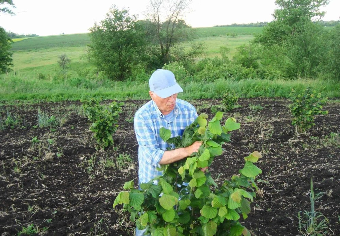 „Este vital să trecem la cultura bio, la permacultură” 299151