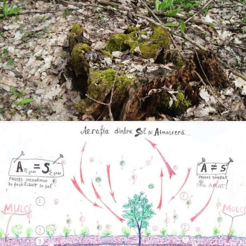 „Este vital să trecem la cultura bio, la permacultură” 299152