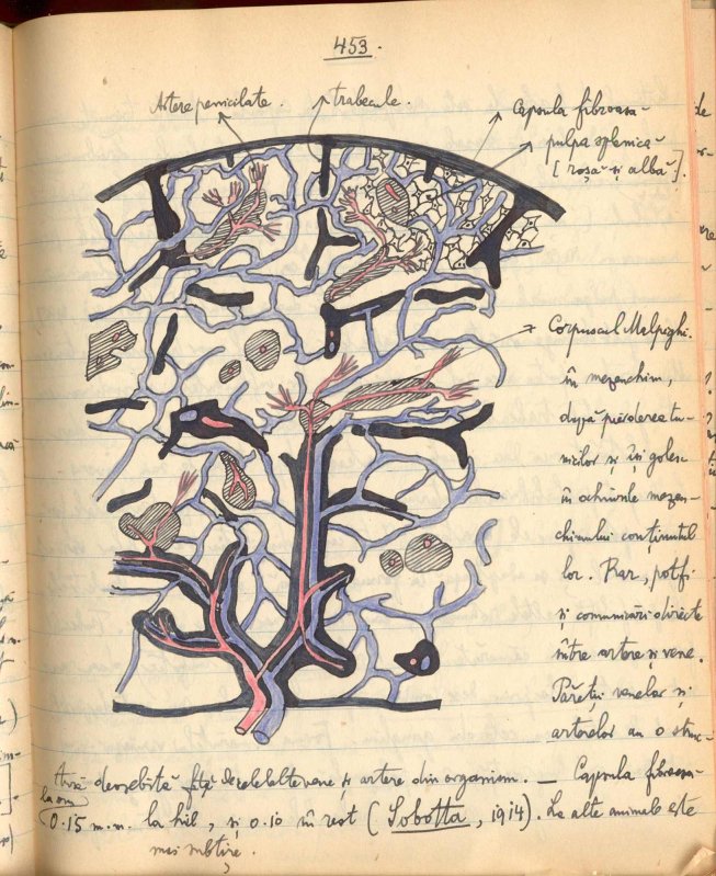 Grigore T. Popa, o figură centrală  în istoria medicinei românești 299160