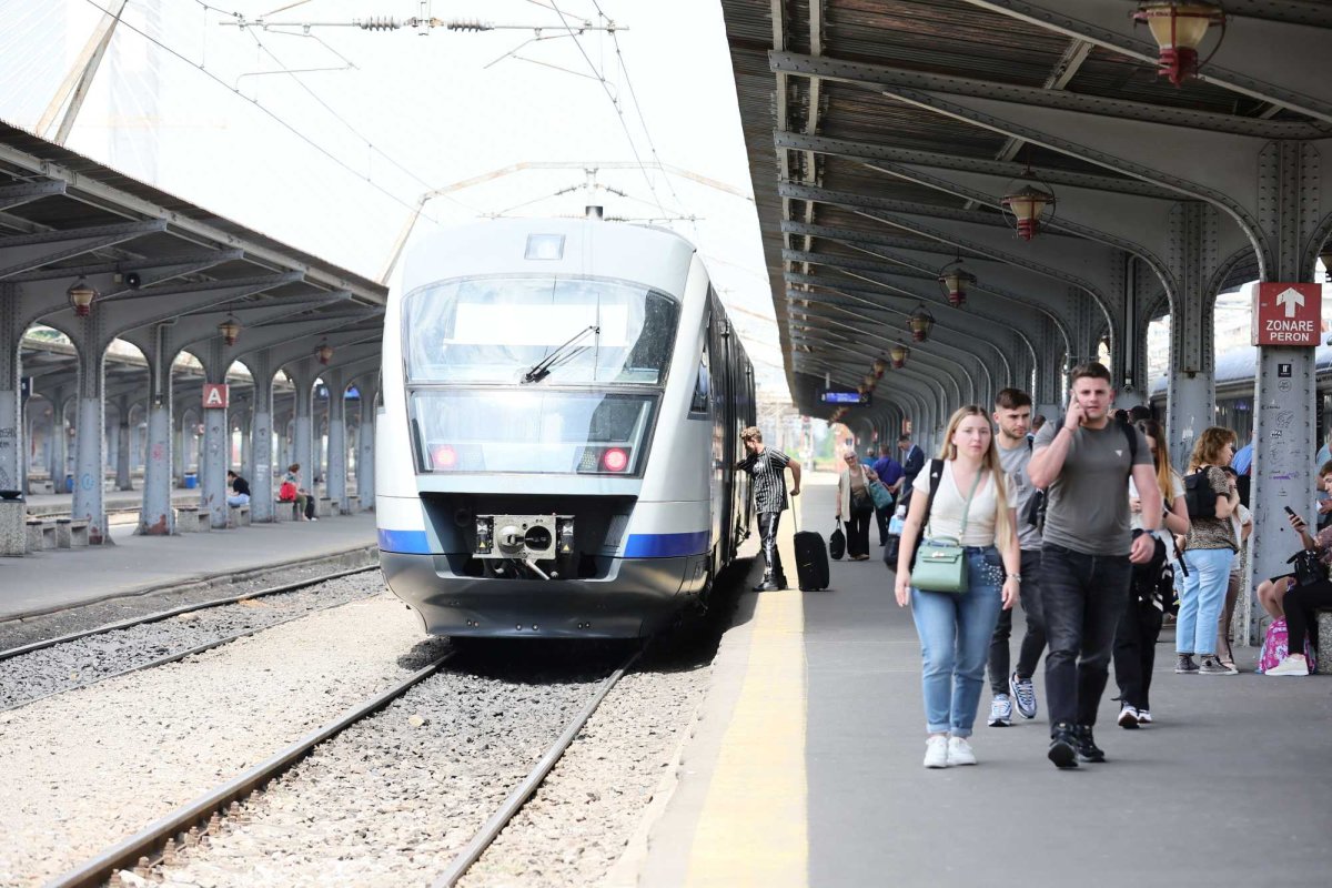 Tabere studenţeşti la munte, la mare şi în Delta Dunării 299466