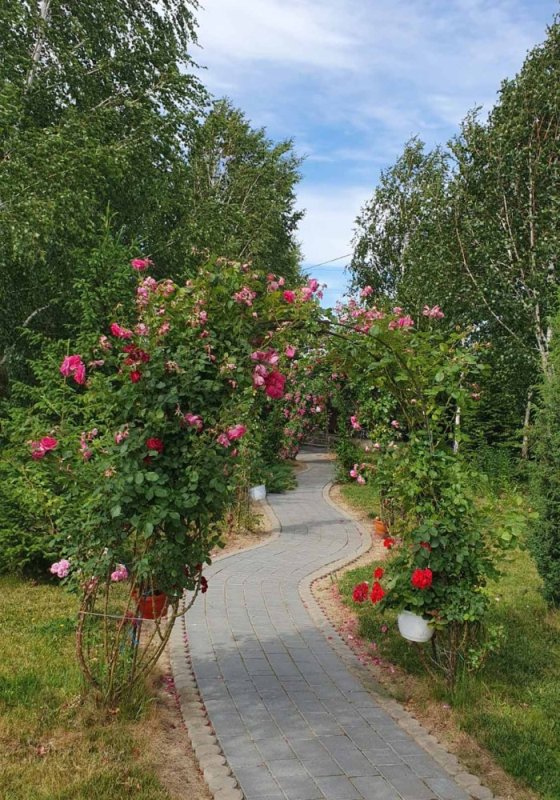 Mănăstirea Pătroaia și moştenirea Sfântului Ierarh Neofit Cretanul 298758