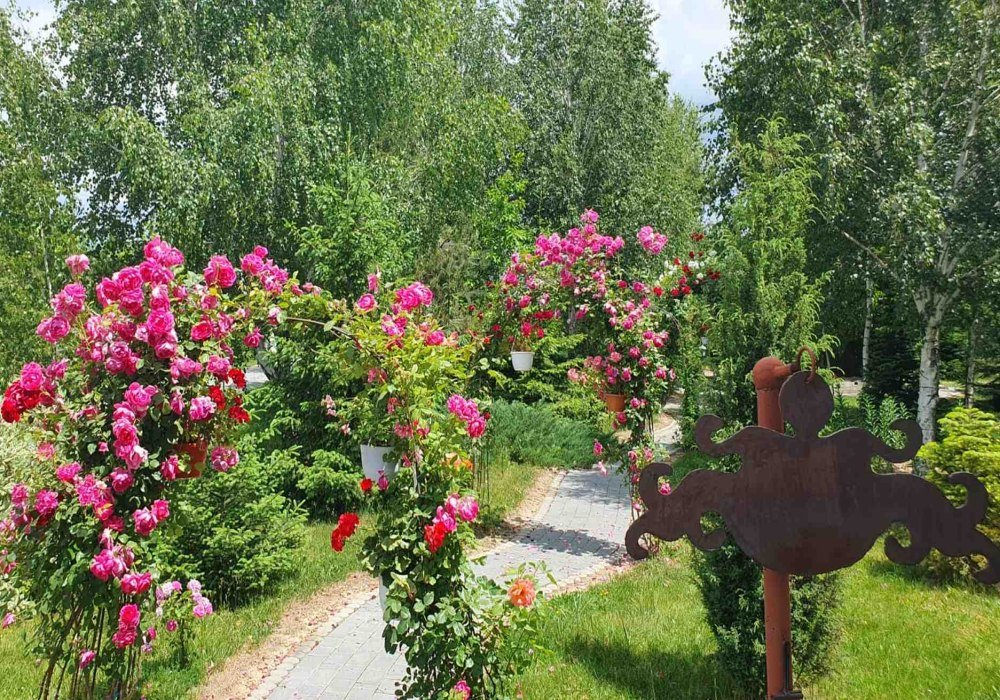 Mănăstirea Pătroaia și moştenirea Sfântului Ierarh Neofit Cretanul 298763