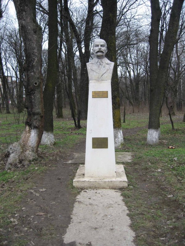 Petre P. Carp: „În viața publică să fii totdeauna dezinteresat” 300347