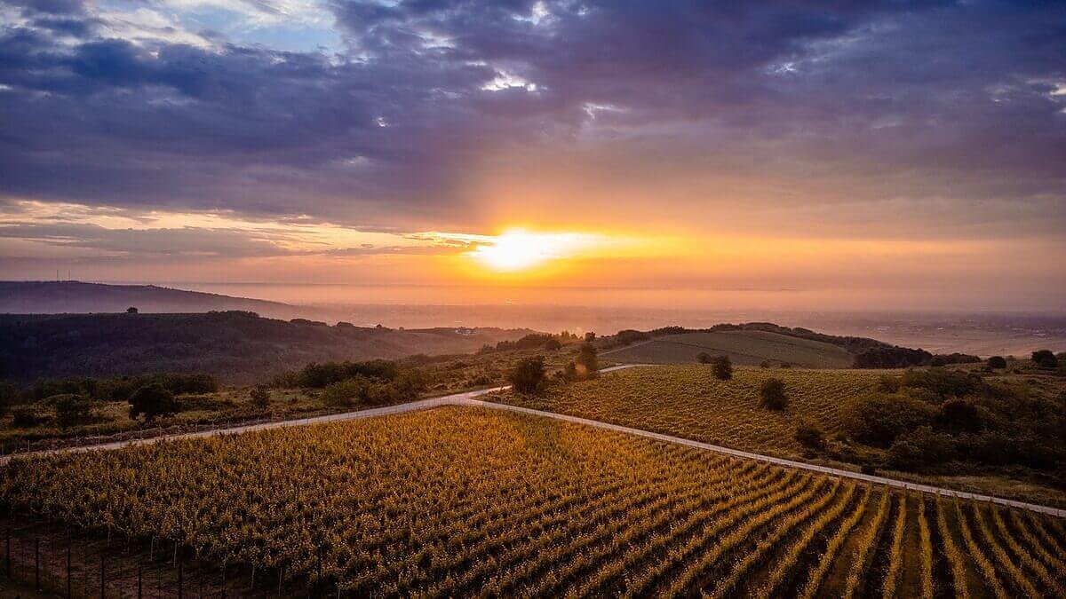 Emilia Chirițescu, bucuriile și încercările, nădejdile și confirmările unui chip luminos 300612