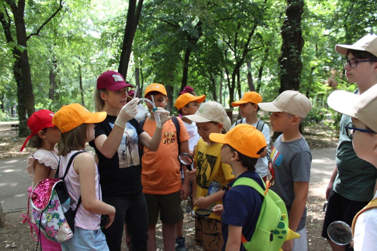 Școala de vară de la Muzeul Antipa 302161