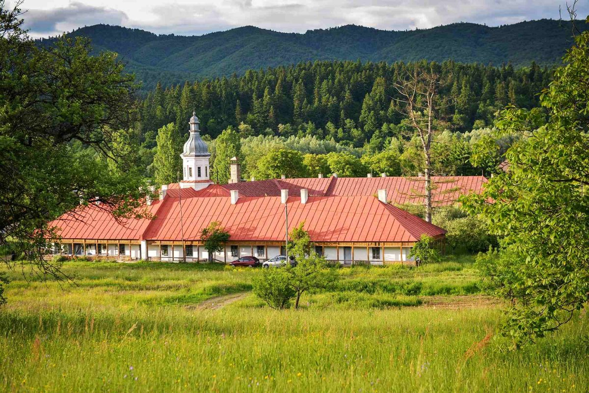 Iov Burlacu, monahul cu viețuire de pateric - mintea către cer și inima deschisă către slujirea bolnavilor 302339