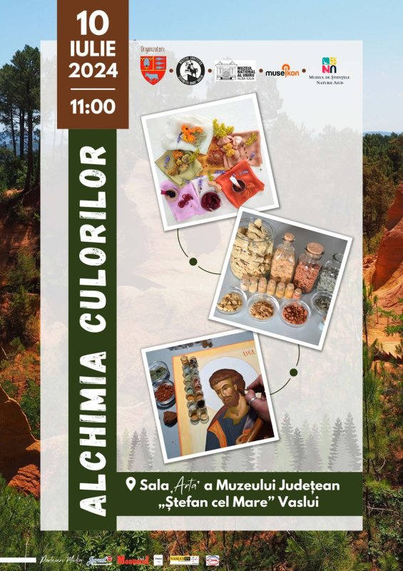 Despre „Alchimia culorilor” la Vaslui 303281