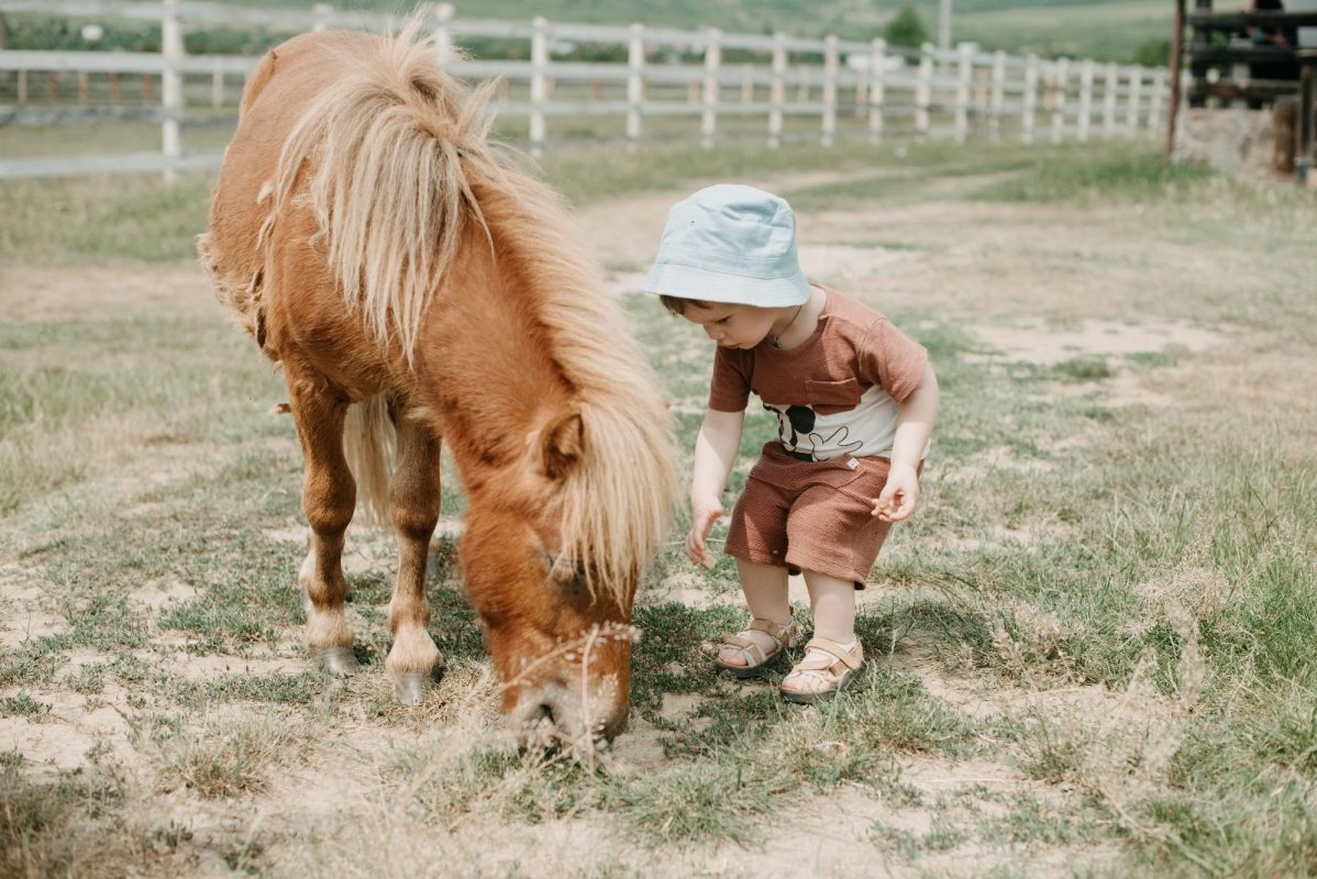 Proiectul „Liturghia copiilor” - pelerinaj pe meleaguri argeșene 303785