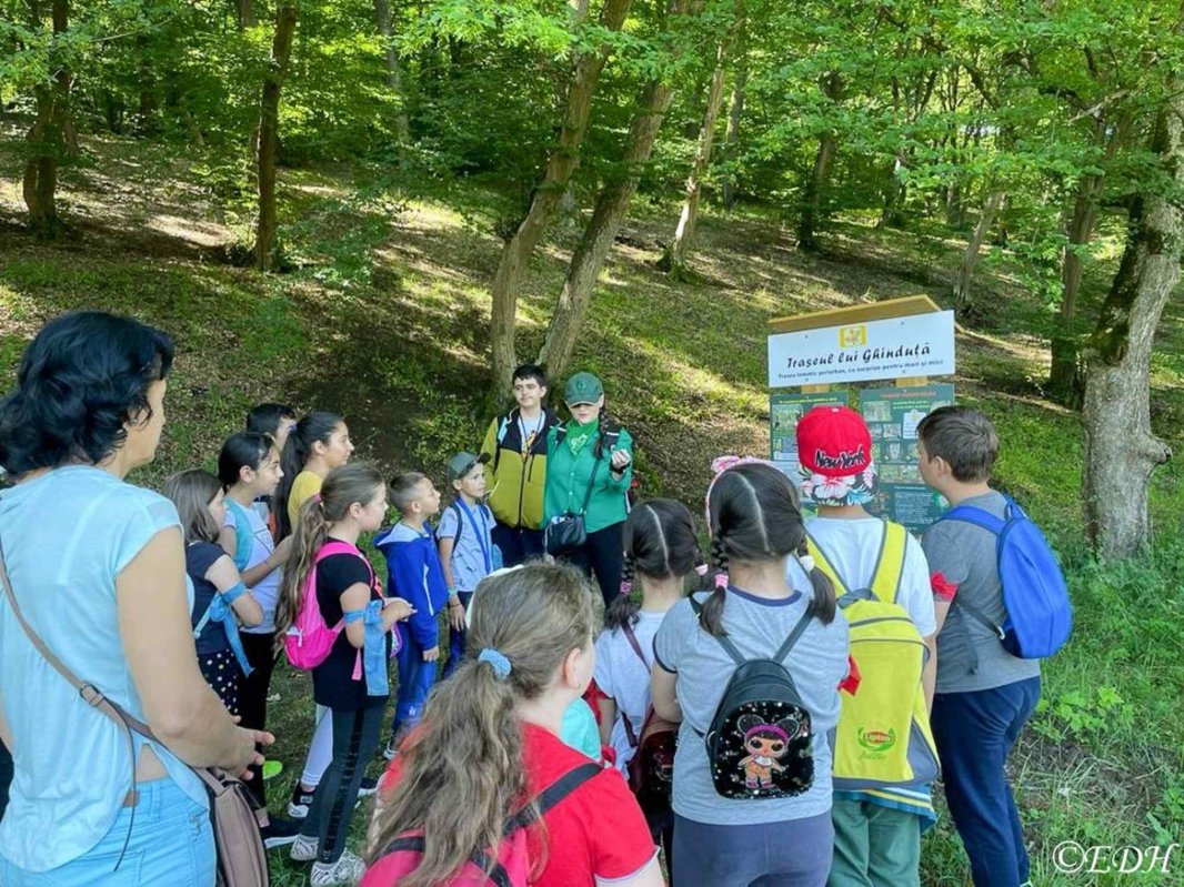 Sprijin pentru copiii aflaţi în situaţii dificile, la Deva 304068