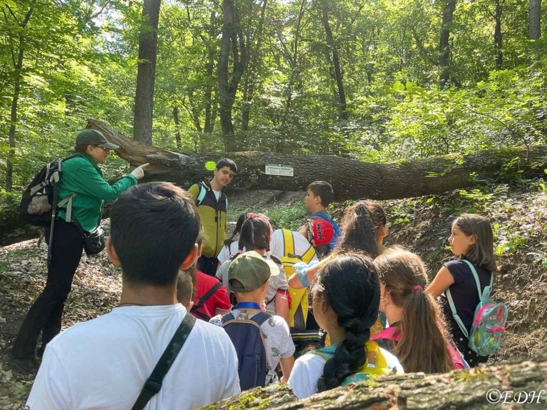 Sprijin pentru copiii aflaţi în situaţii dificile, la Deva 304069