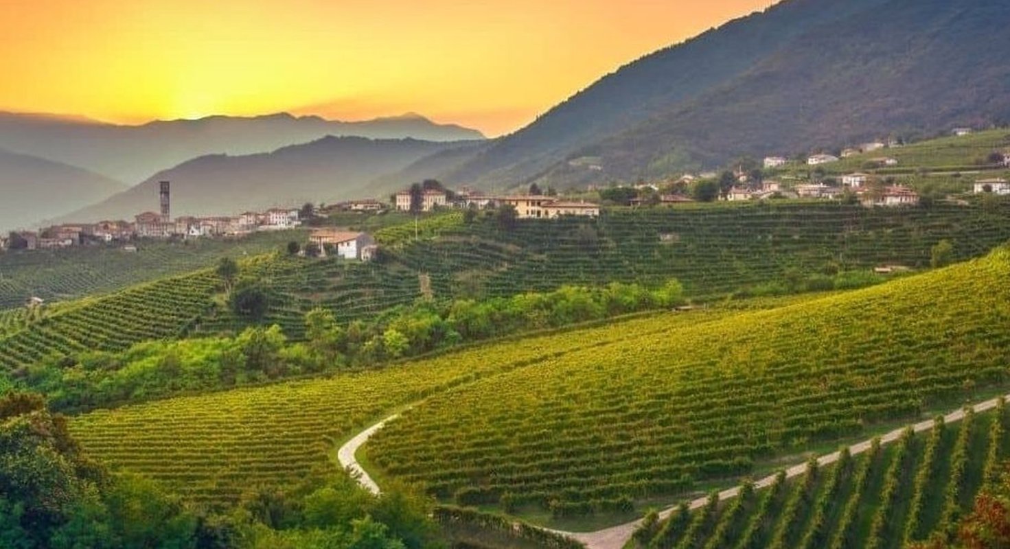 Colinele Prosecco, „peisaj cultural” 304085