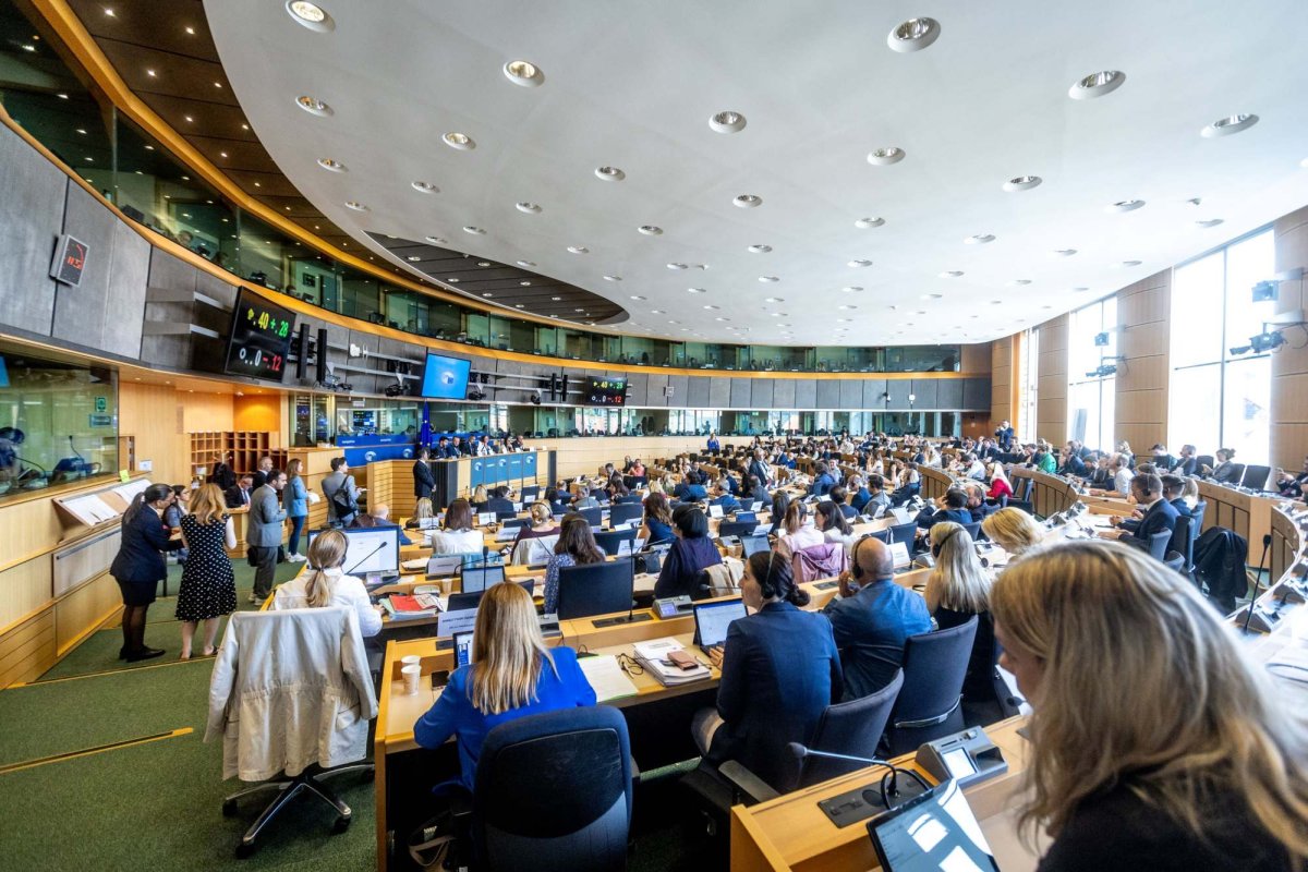 Români în comisiile Parlamentului European 304090