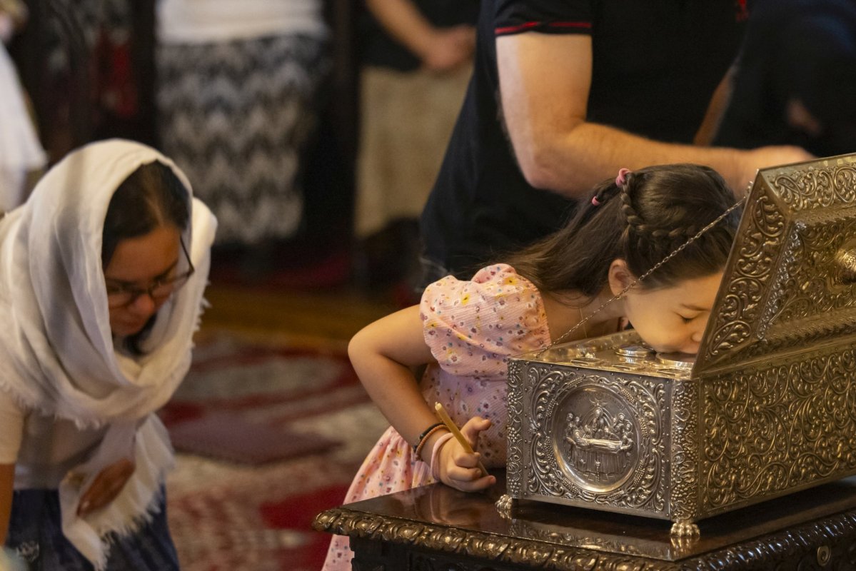 „Iisus merge tocmai acolo unde firea umană este scoasă din firescul ei” 304353