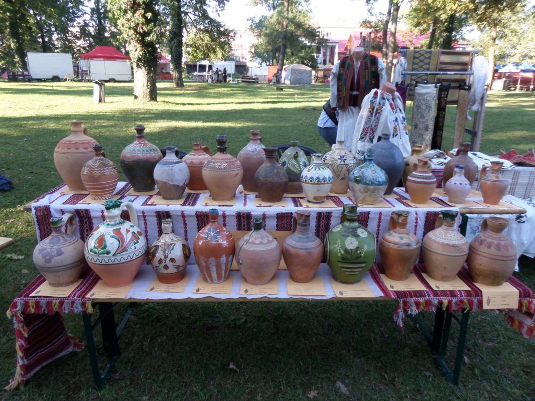 „Ar fi nevoie de un catalog al olarilor și de un cod de bună practică” 304441