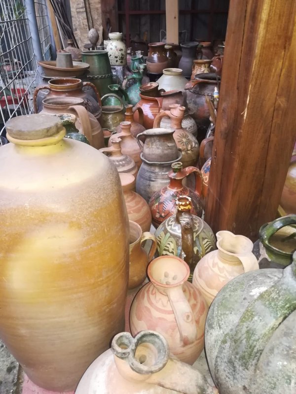 „Ar fi nevoie de un catalog al olarilor și de un cod de bună practică” 304442