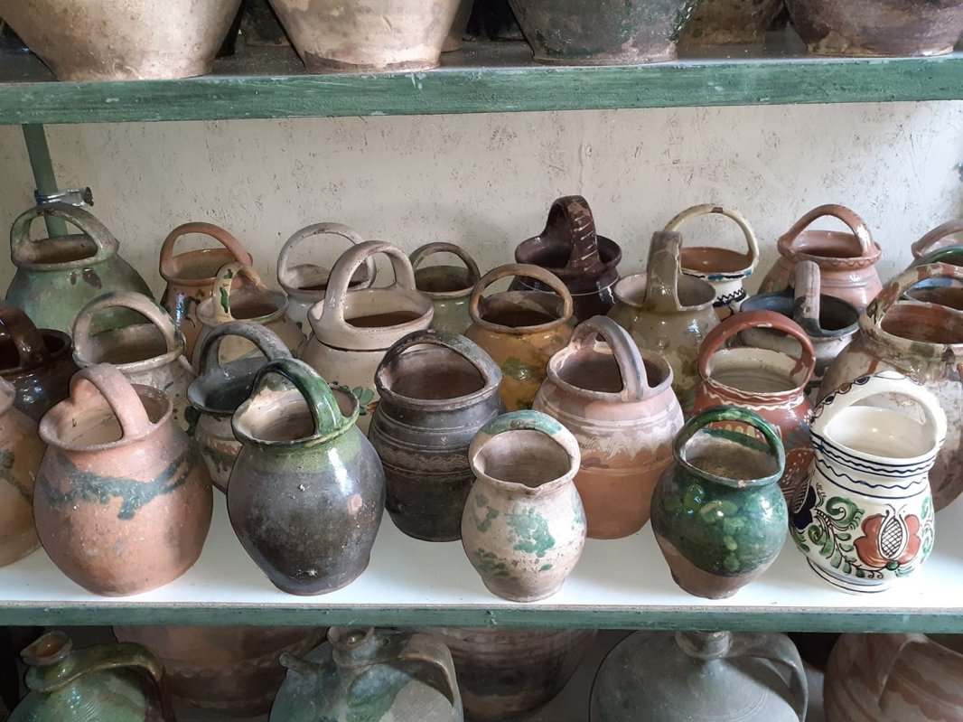 „Ar fi nevoie de un catalog al olarilor și de un cod de bună practică” 304443