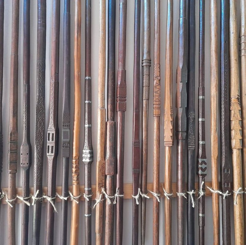 „Ar fi nevoie de un catalog al olarilor și de un cod de bună practică” 304445