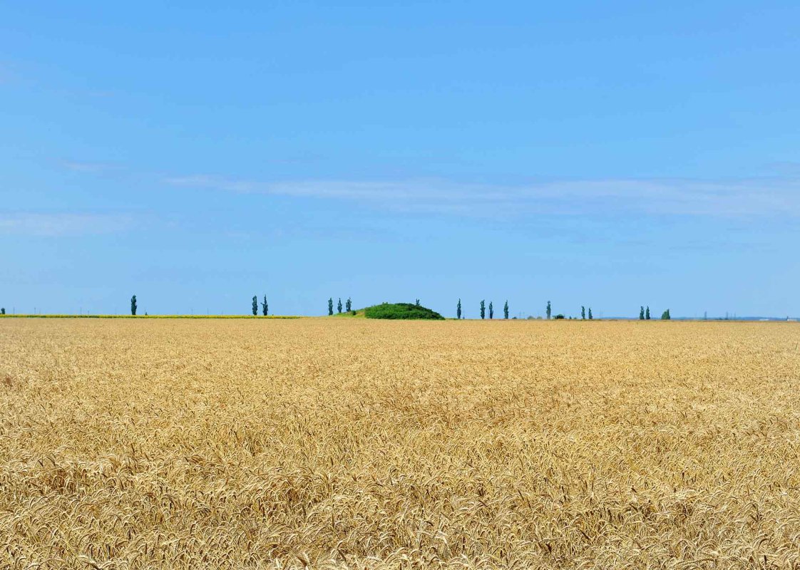 Cum își face loc răul printre adevăr 304490